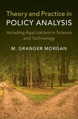 Theory and Practice in Policy Analysis book