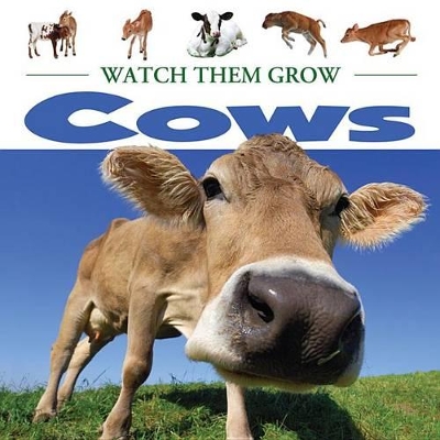 Cows book
