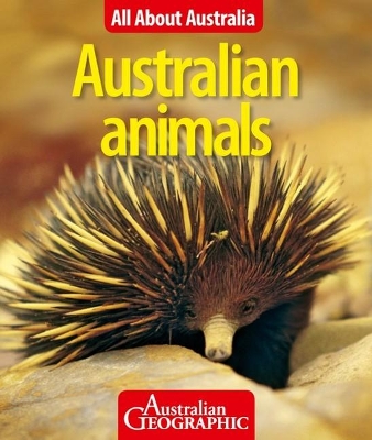 All About Australia: Australian Animals book