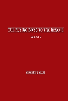 The Fly Boys to the Rescue book