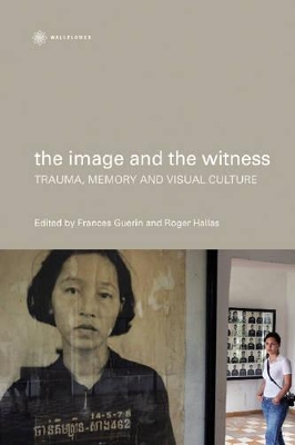 The Image and the Witness – Trauma, Memory, and Visual Culture book