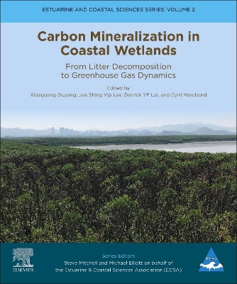 Carbon Mineralization in Coastal Wetlands: From Litter Decomposition to Greenhouse Gas Dynamics: Volume 2 book