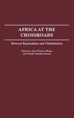 Africa at the Crossroads book