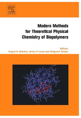 Modern Methods for Theoretical Physical Chemistry of Biopolymers book