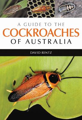 Guide to the Cockroaches of Australia book