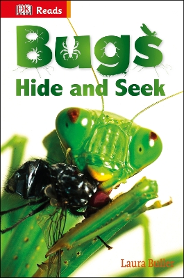 Bugs Hide and Seek book