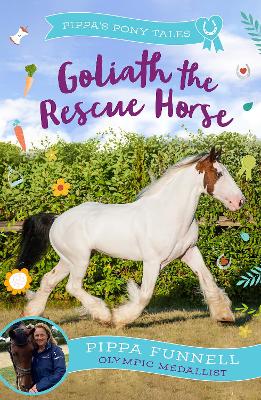 Goliath the Rescue Horse book