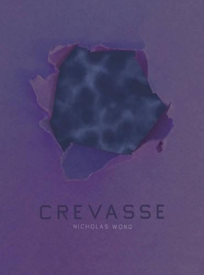 Crevasse book