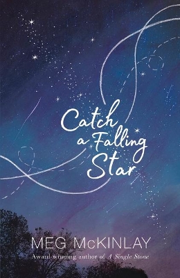 Catch a Falling Star book