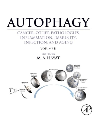 Autophagy: Cancer, Other Pathologies, Inflammation, Immunity, Infection, and Aging by M. A. Hayat