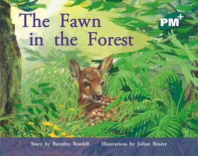 The Fawn in the Forest book