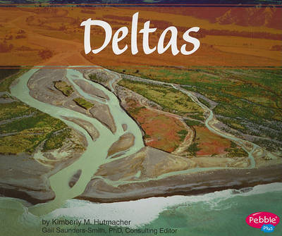 Deltas by Kimberly M Hutmacher