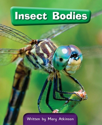 13c Insect Bodies book