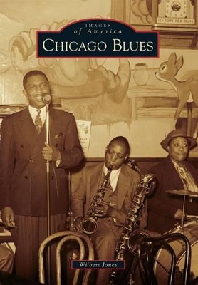 Chicago Blues book