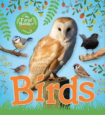 My First Book of Nature: Birds by Victoria Munson