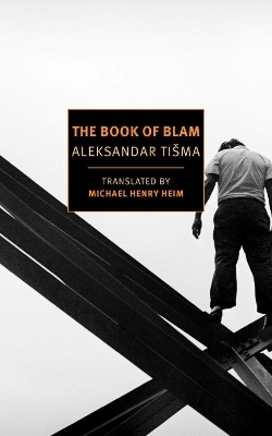 Book Of Blam book