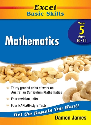 Excel Basic Skills Core Books: Mathematics Year 5 book