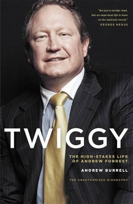 Twiggy book