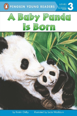 Baby Panda Is Born book