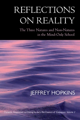 Reflections on Reality book