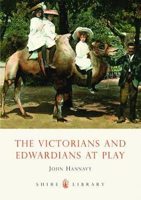 Victorians and Edwardians at Play by John Hannavy
