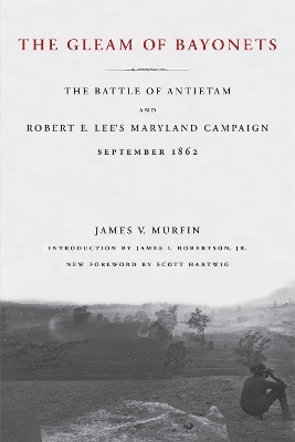 Gleam of Bayonets book
