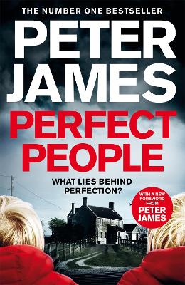 Perfect People book