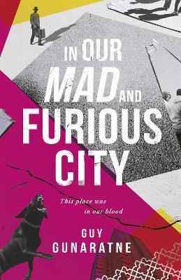 In Our Mad and Furious City book