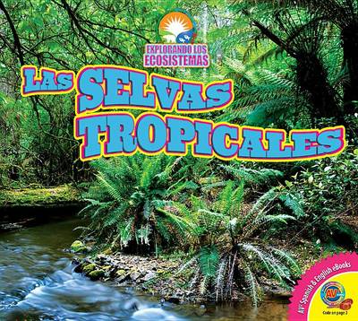 Las Selvas Tropicales (Rainforests) by Alexis Roumanis