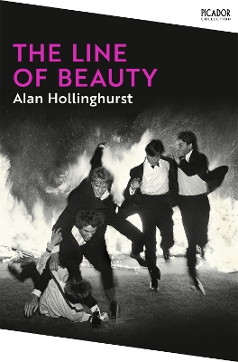 The Line of Beauty book