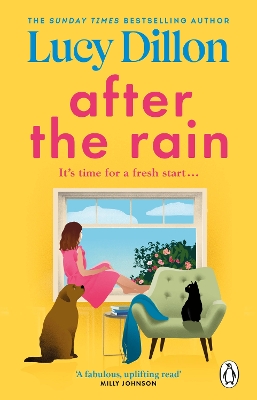 After the Rain: The incredible and uplifting new novel from the Sunday Times bestselling author by Lucy Dillon