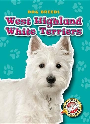 West Highland White Terriers by Sara Green