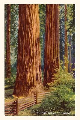 The Vintage Journal Giant Redwoods by Found Image Press