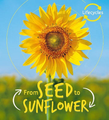 Lifecycles: Seed to Sunflower by Camilla de la Bedoyere