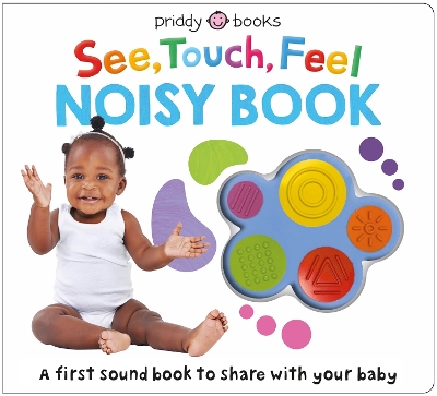 See, Touch, Feel Noisy Book book