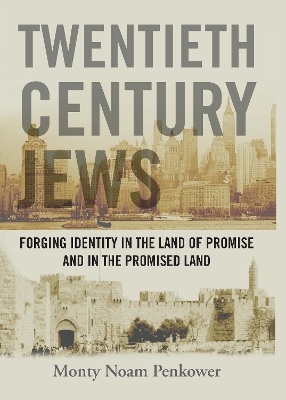 Twentieth Century Jews book