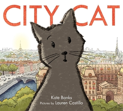 City Cat book