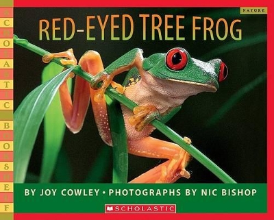 Red-Eyed Tree Frog by Nic Bishop