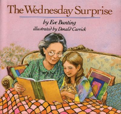 Wednesday Surprise book