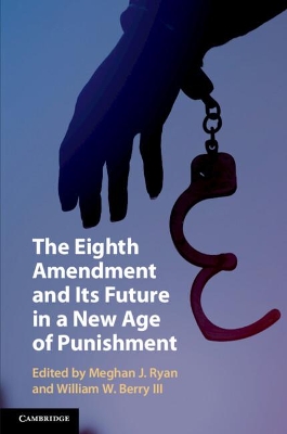 The Eighth Amendment and Its Future in a New Age of Punishment book