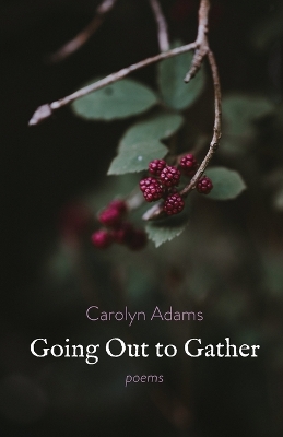 Going Out to Gather book