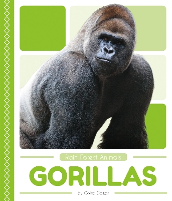 Gorillas by Golriz Golkar