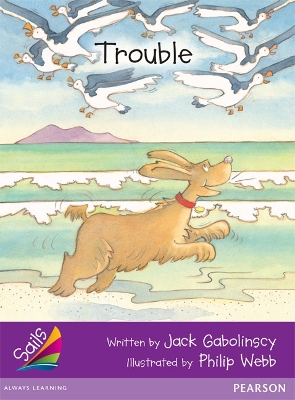 Sails Fluency Purple: Trouble book