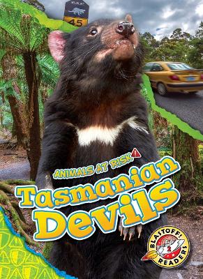 Tasmanian Devils book