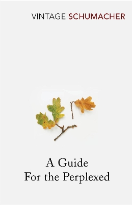 Guide For The Perplexed book