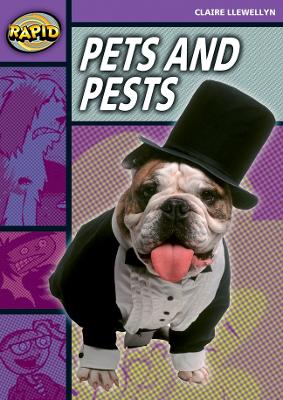 Rapid Stage 1 Set B: Pets and Pests (Series 2) book