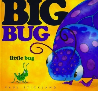 Big Bug Little Bug book