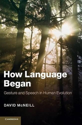 How Language Began by David McNeill