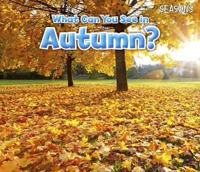 What Can You See In Autumn? by Sian Smith