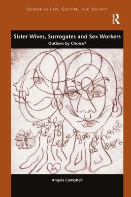 Sister Wives, Surrogates and Sex Workers book
